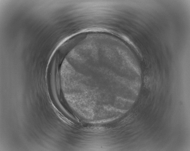 X0000059251372200511111630