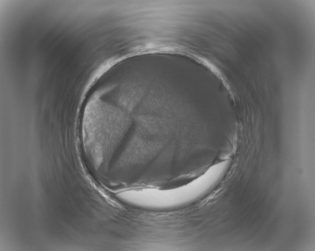 X0000059251373200511111630