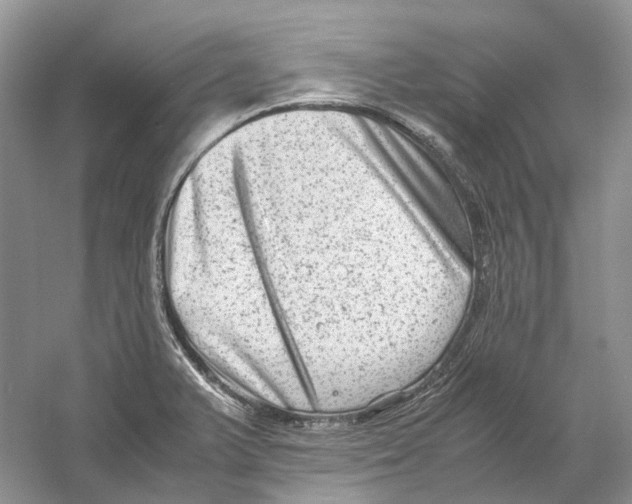 X0000059251375200511111630