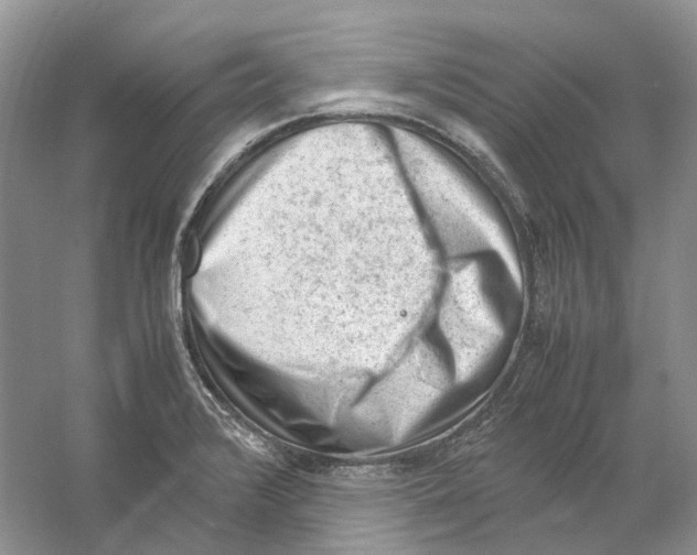 X0000059251376200511111630