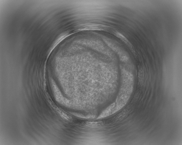 X0000059251378200511111630