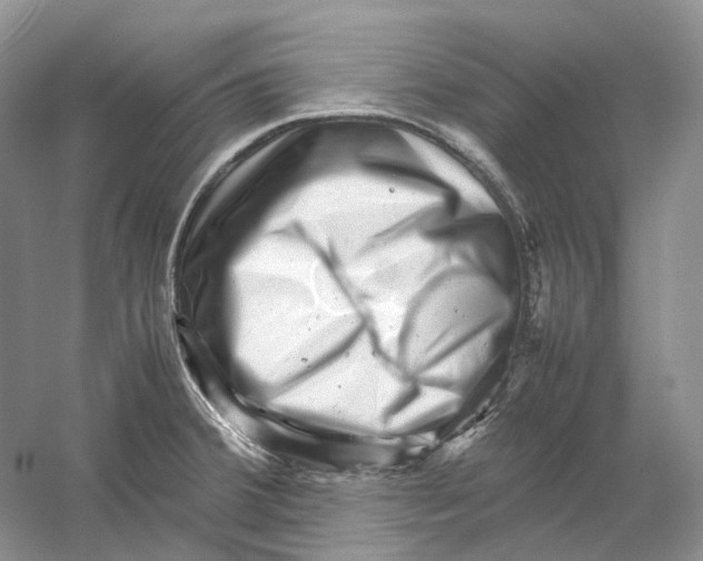 X0000059251380200511111630