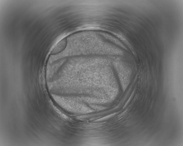 X0000059251382200511111630