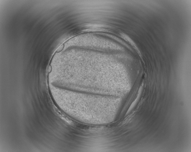 X0000059251386200511111630