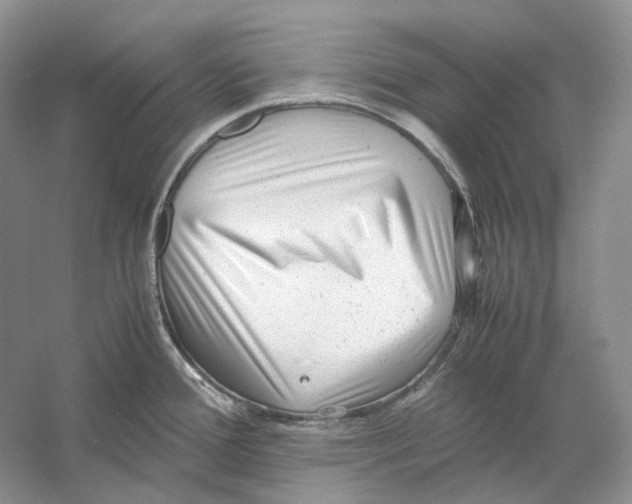 X0000059251388200511111630