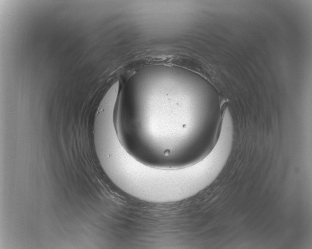 X0000059251394200511111629