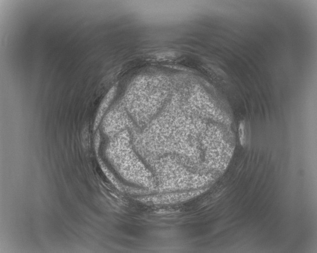 X0000059251395200511111629