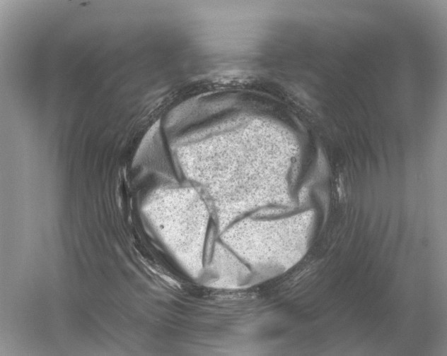 X0000059251396200511111629