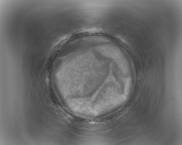 X0000059251398200511111629