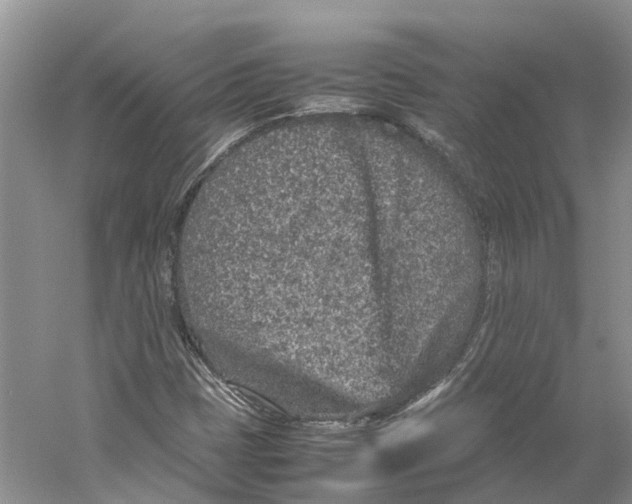 X0000059251401200511111629