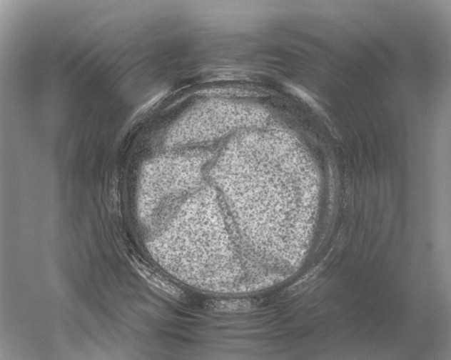 X0000059251403200511111629