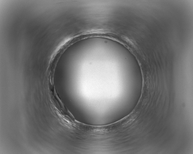 X0000059251406200511111629