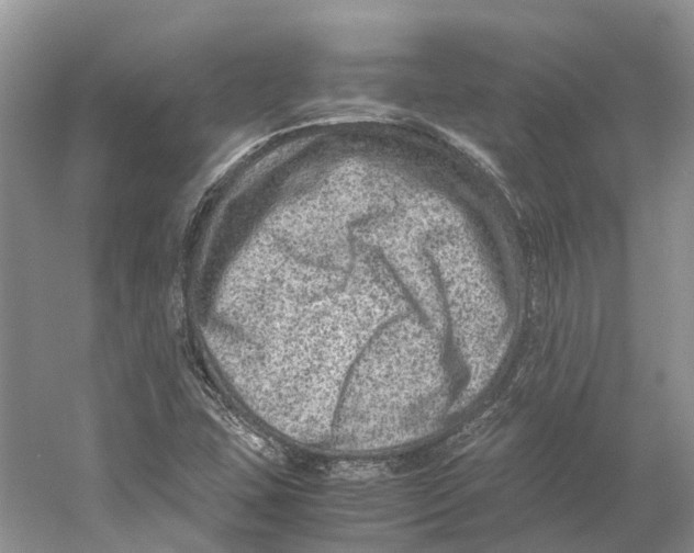 X0000059251407200511111629