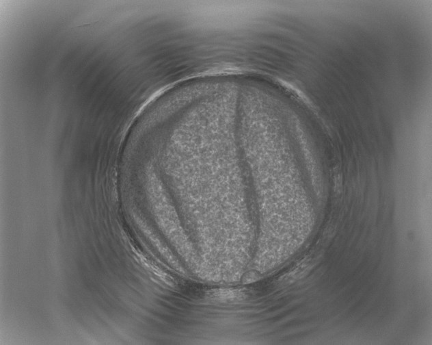 X0000059251409200511111629