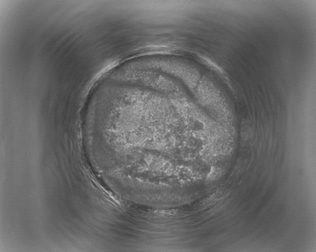 X0000059251411200511111629