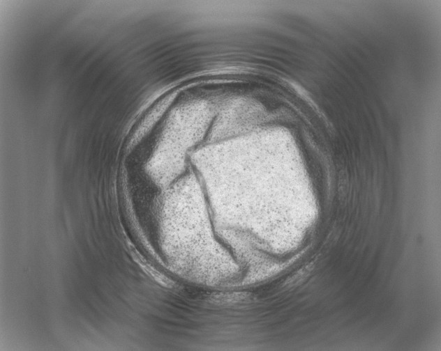 X0000059251417200511111629