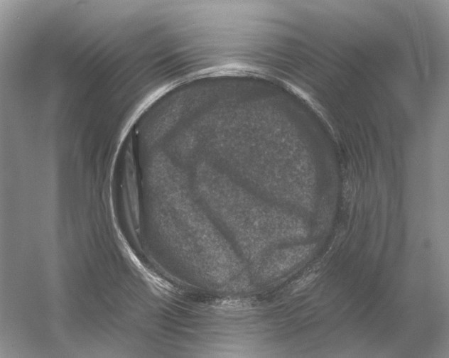 X0000059251418200511111629