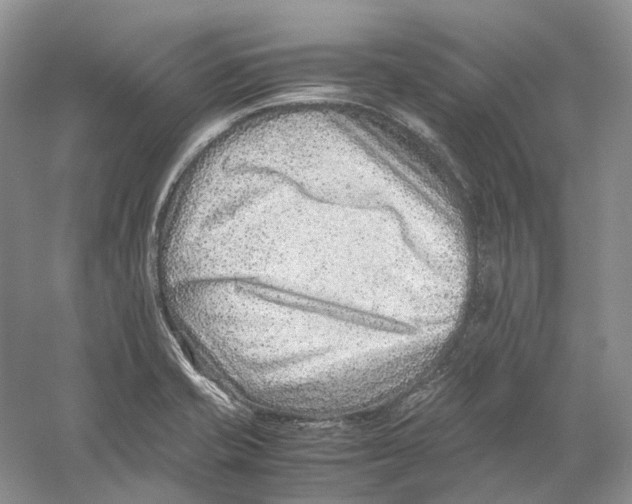 X0000059251421200511111629