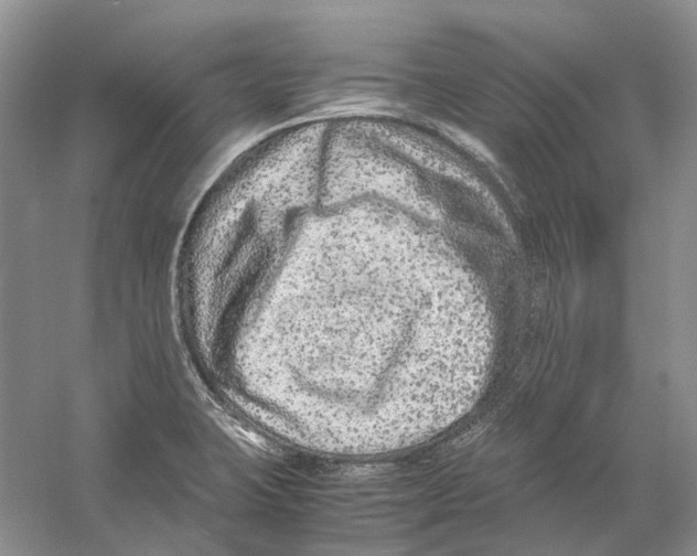 X0000059251423200511111629