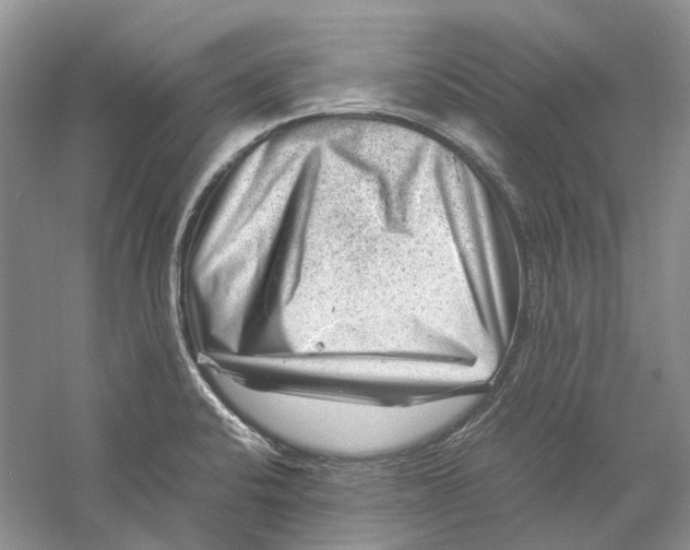 X0000059251424200511111629