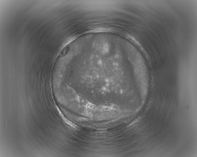 X0000059251425200511111629