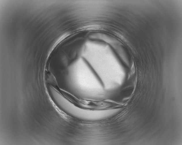 X0000059251426200511111629