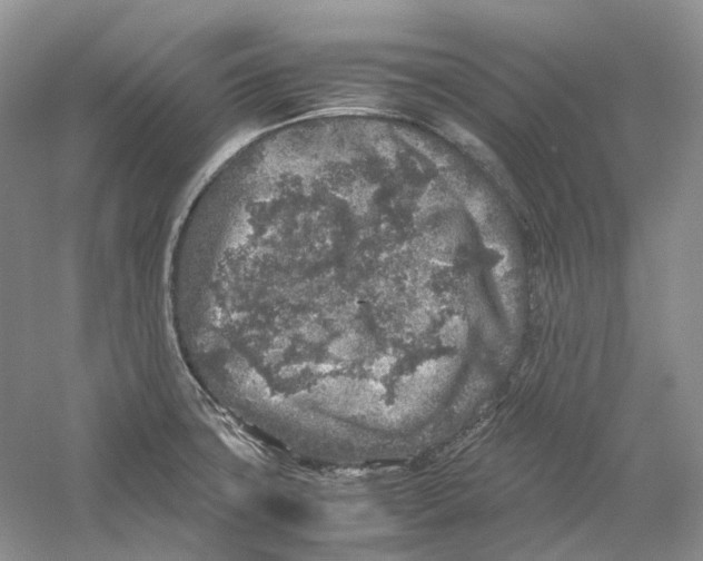 X0000059251427200511111629