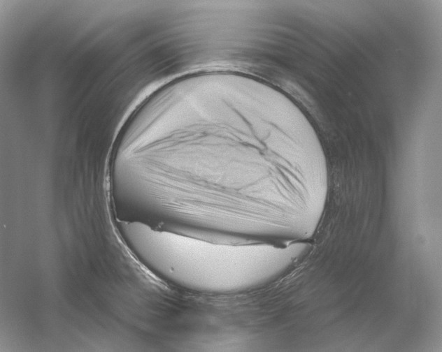 X0000059251428200511111629