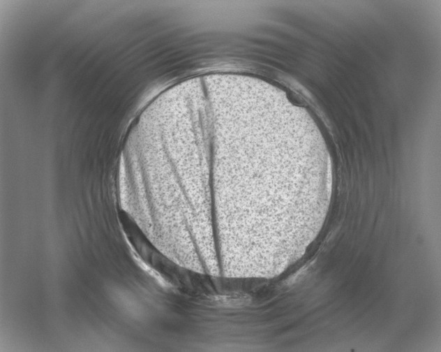 X0000059251433200511111629