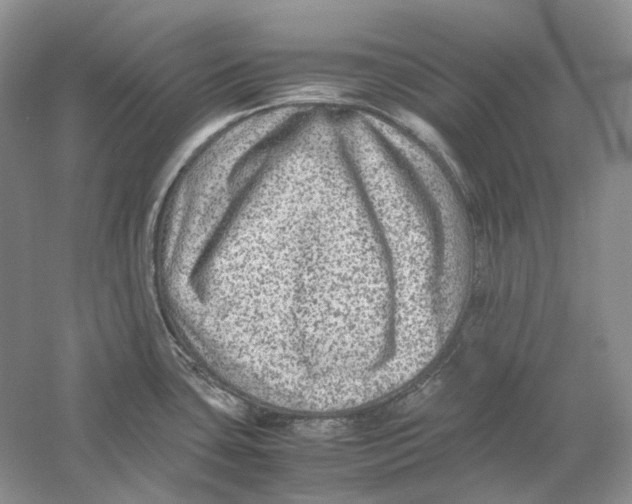 X0000059251435200511111629