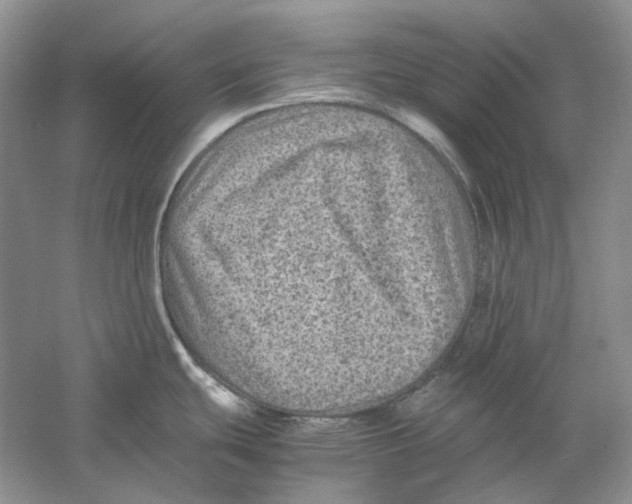 X0000059251439200511111629