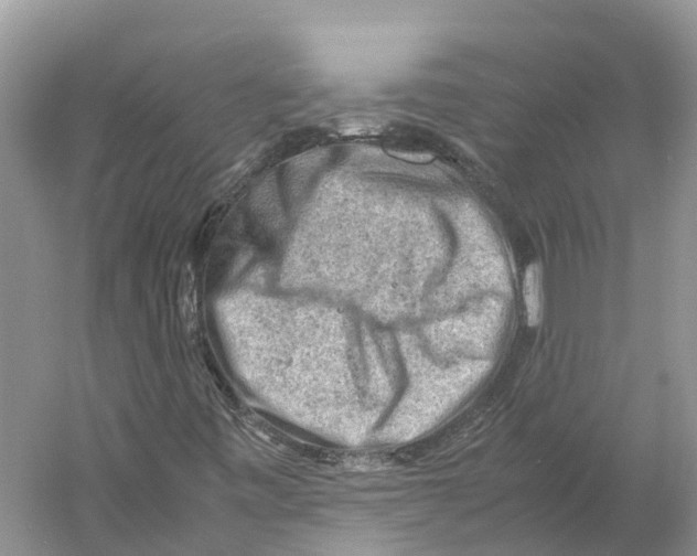 X0000059251443200511111629