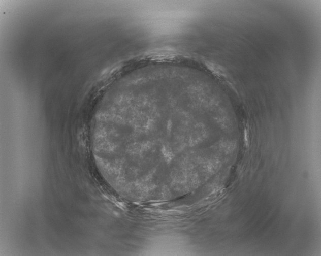 X0000059251445200511111629