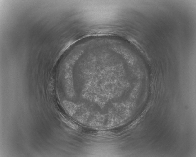 X0000059251449200511111629