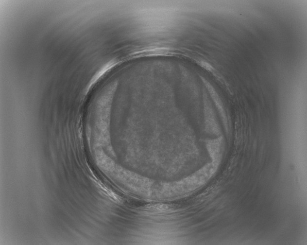 X0000059251450200511111629