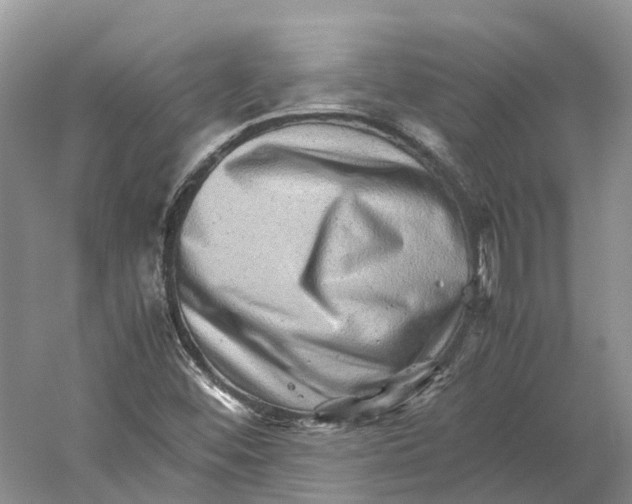 X0000059251452200511111629