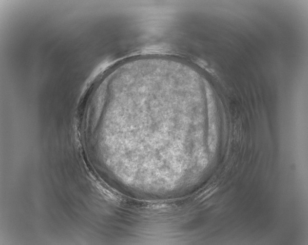 X0000059251454200511111628