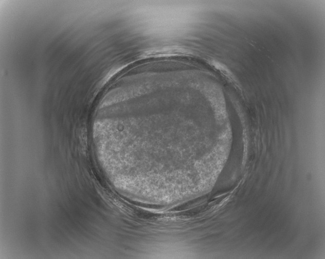 X0000059251457200511111628