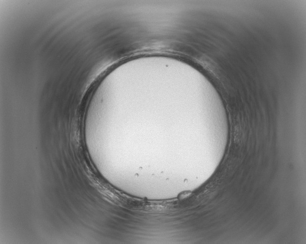 X0000059251458200511111628