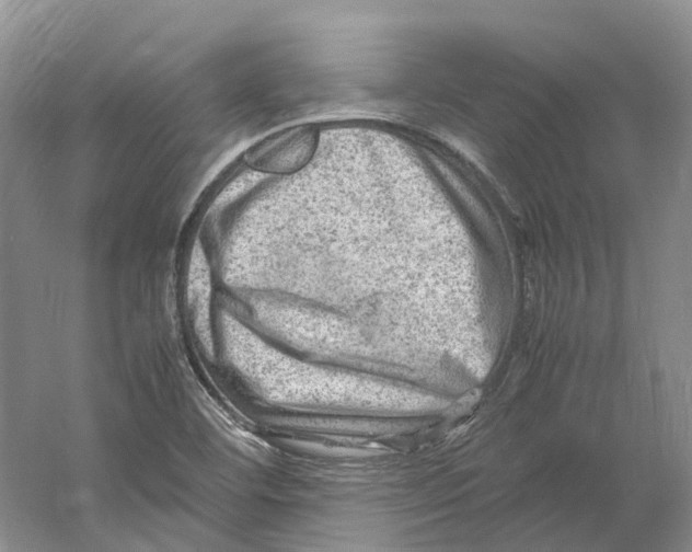 X0000059251460200511111628