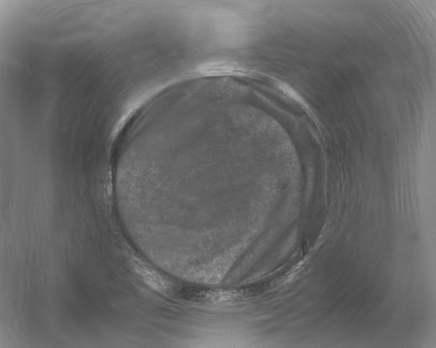 X0000059251461200511111628