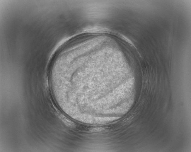 X0000059251462200511111628