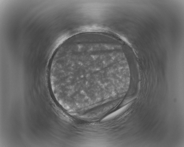 X0000059251463200511111628