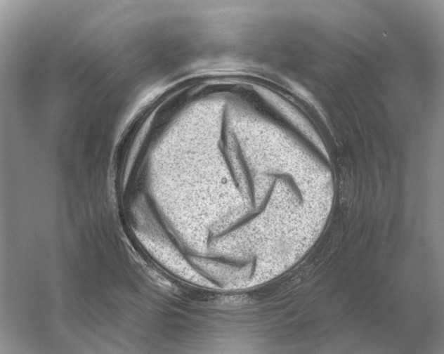 X0000059251464200511111628