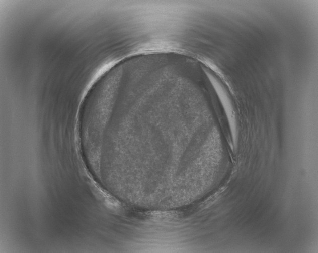 X0000059251469200511111628