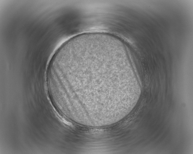 X0000059251470200511111628