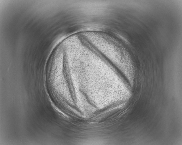 X0000059251471200511111628