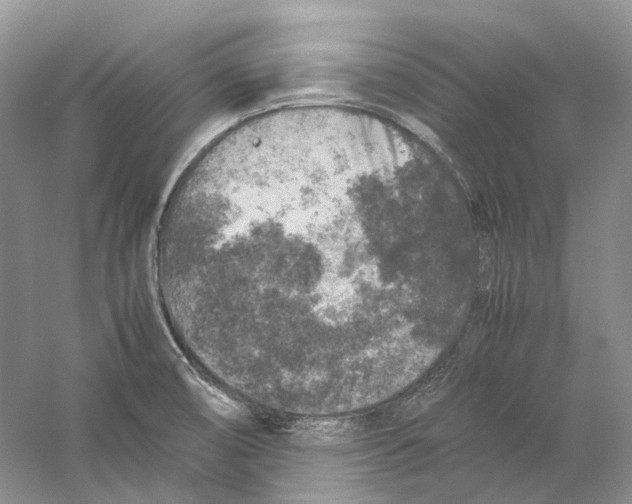 X0000059251474200511111628