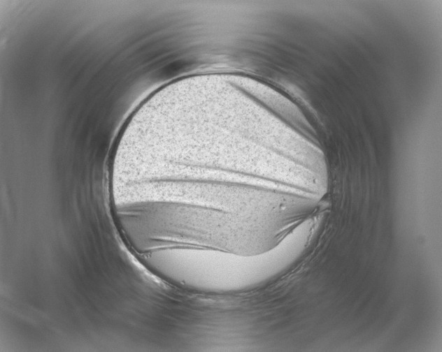 X0000059251476200511111628