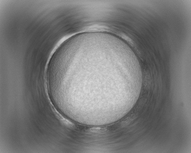 X0000059251478200511111628